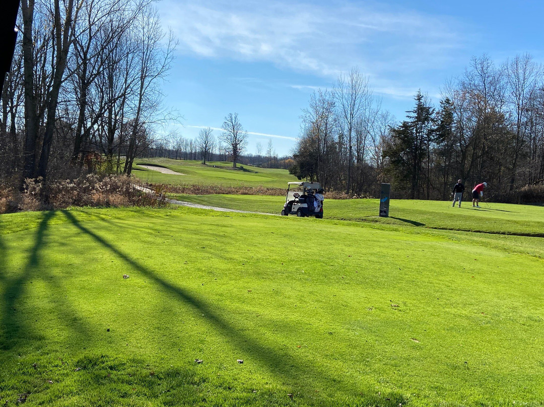 Willow Wood Golf Club景点图片
