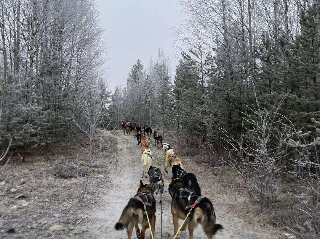 All Huskies-Kittilä必去景点