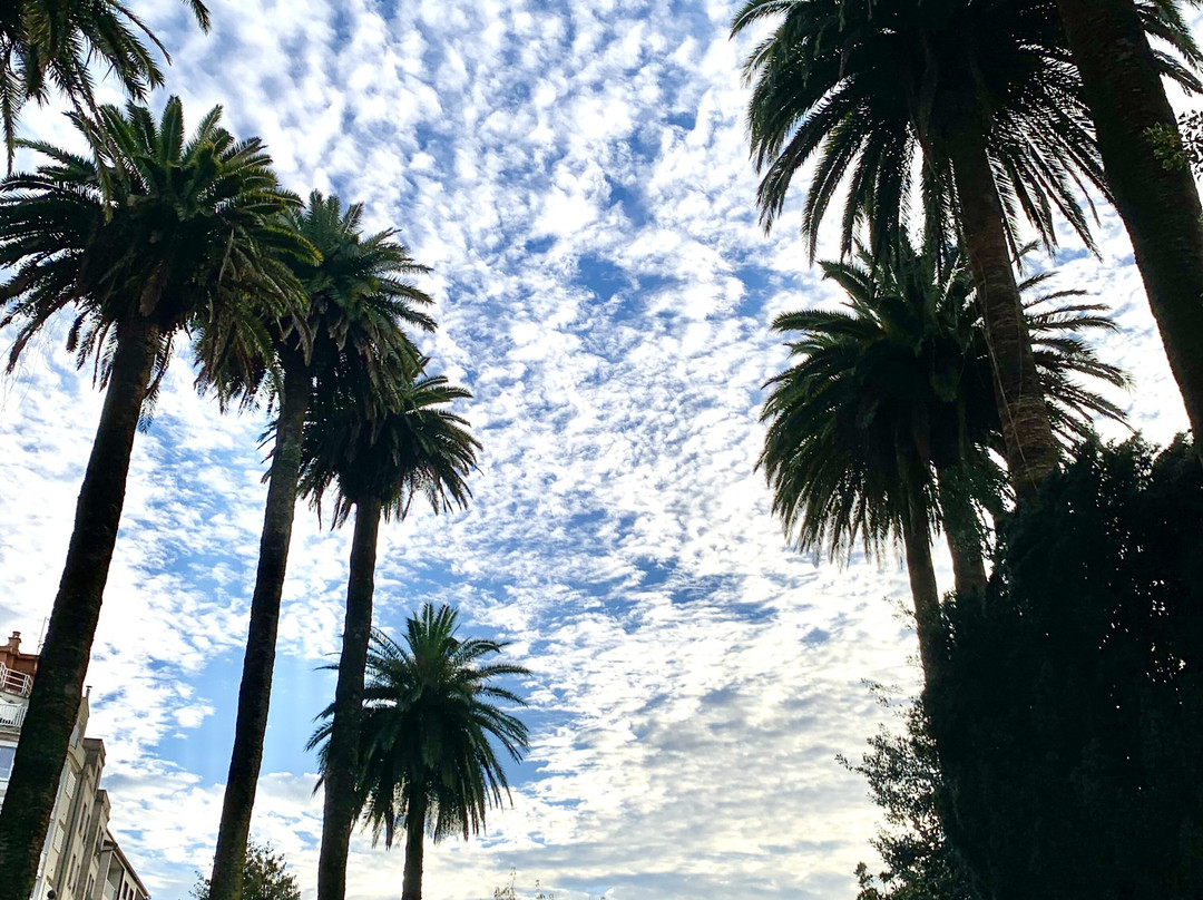 Parque de las Palmeras景点图片