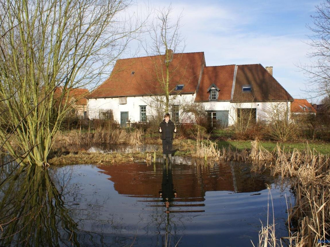 De Metstermolen