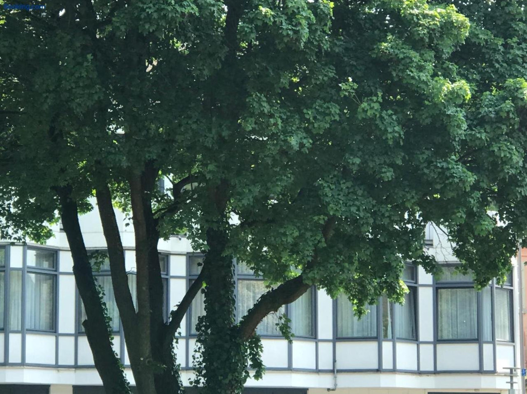 Gästezimmer Klein Und Fein Für Nach Dem Wein