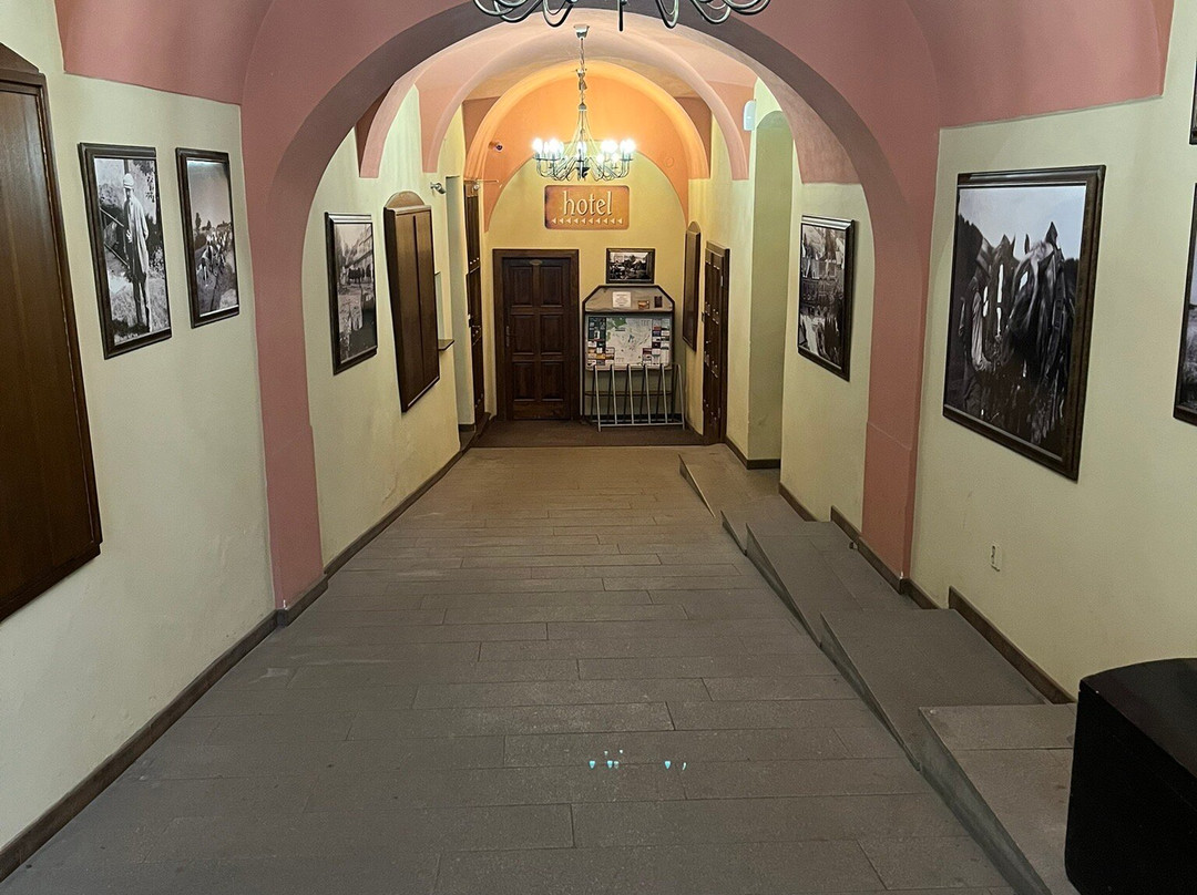 Hotel Pansky dum主图