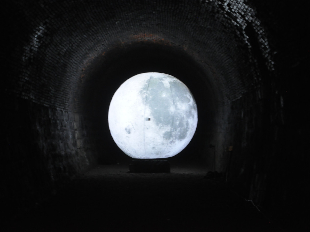 Cheongdo Wine Tunnel-清道郡必去景点