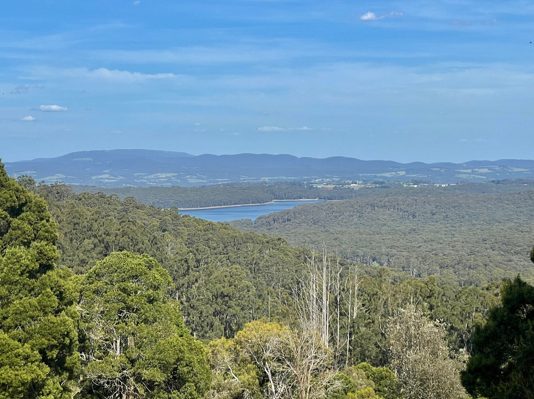 Kalorama Park Lookout-Kalorama必去景点