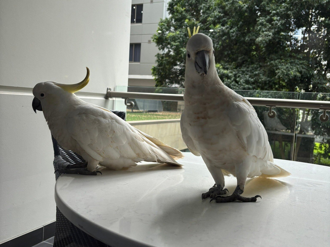 美利通套房酒店-北莱德主图