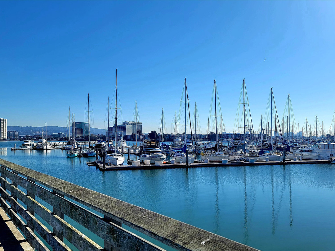 Safe Harbor Emeryville-埃默里维尔必去景点
