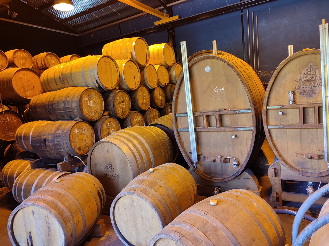 Neisson Distillery (Distillerie Neisson)-马提尼克必去景点