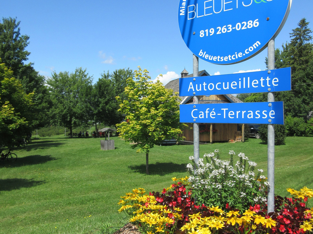 Bleuets & Cie-Saint-Pierre-les-Becquets必去景点