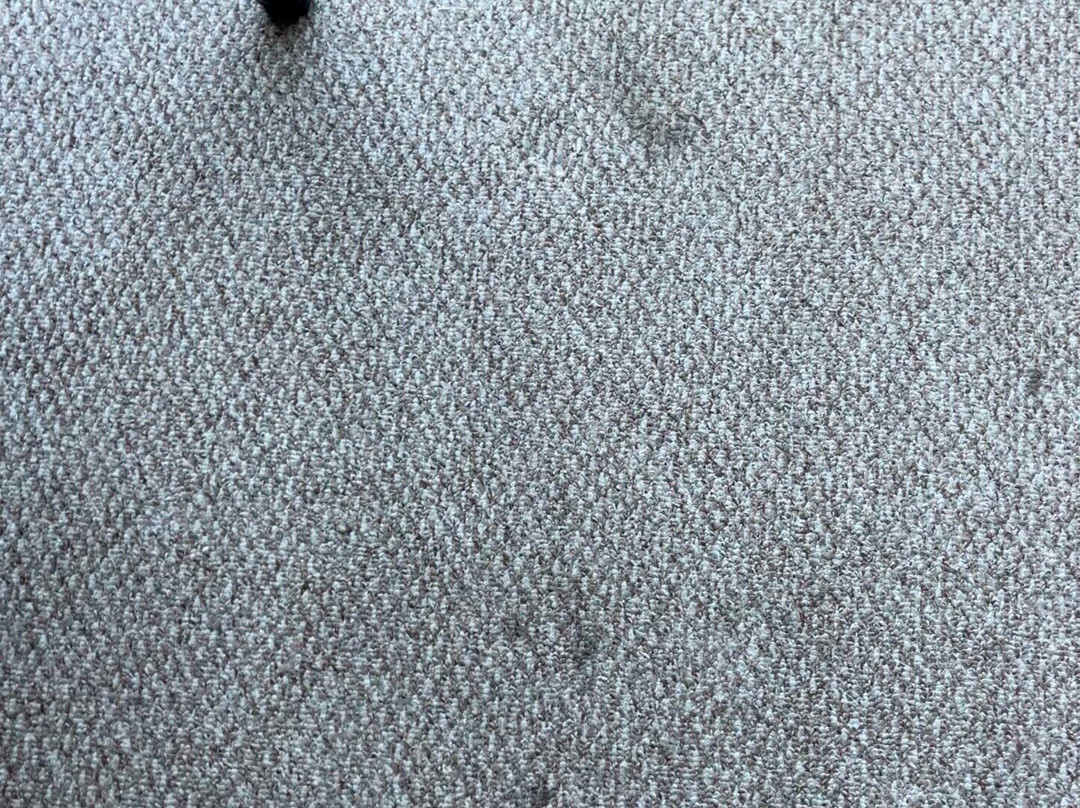 Tenterfield Motor Inn主图