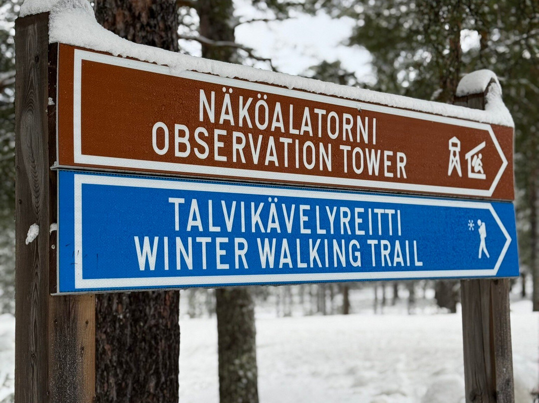 Ounasvaara Winter Trail-罗瓦涅米必去景点