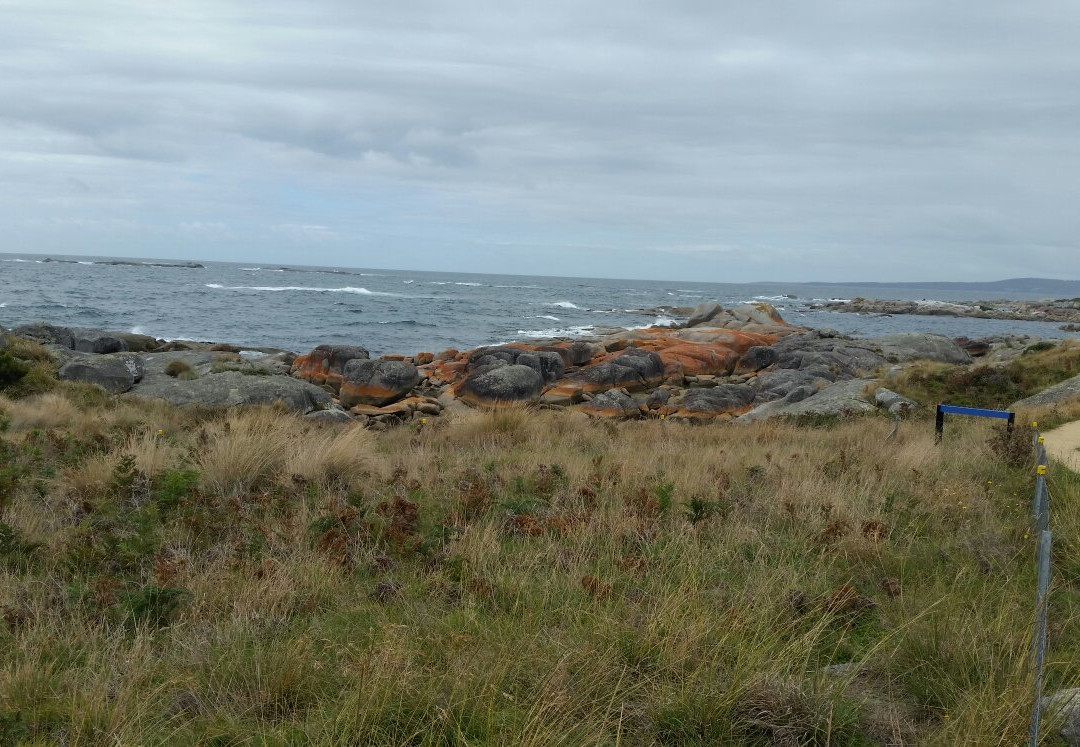 Scamander on the Beach主图