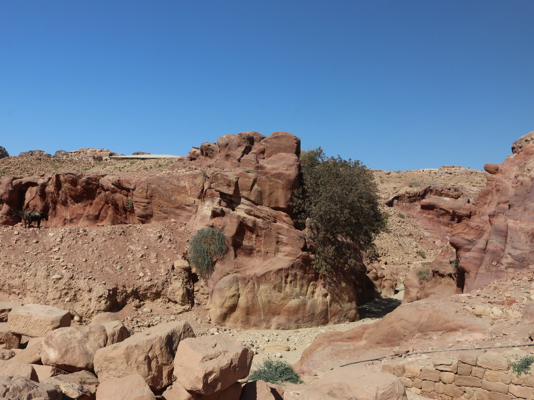 Nymphaeum-佩特拉必去景点