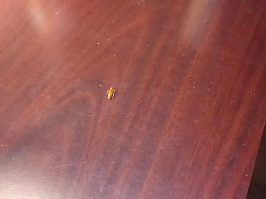 卡特雷拉威假日酒店主图