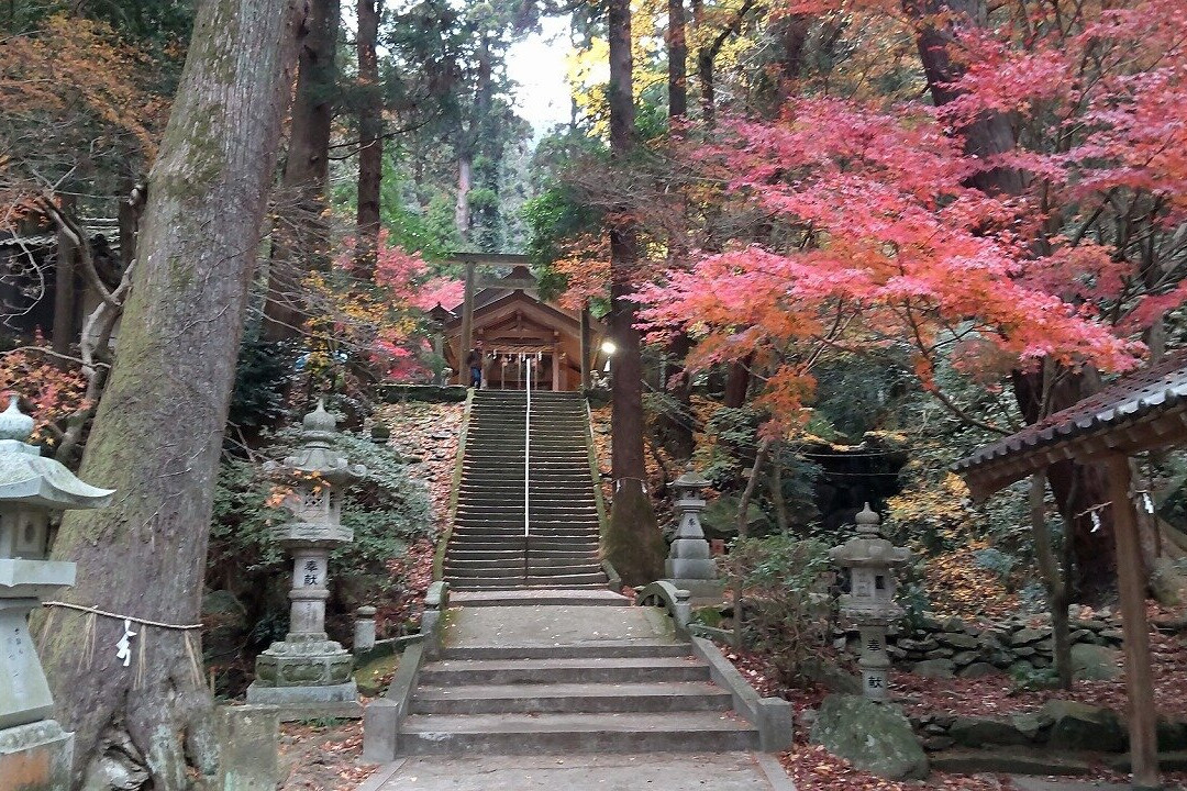 Ino Tensho Kotai Jingu Shrine-久山町必去景点