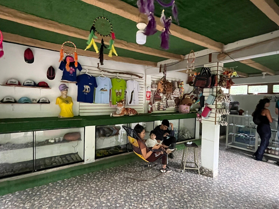 Centro Urku-Tarapoto必去景点