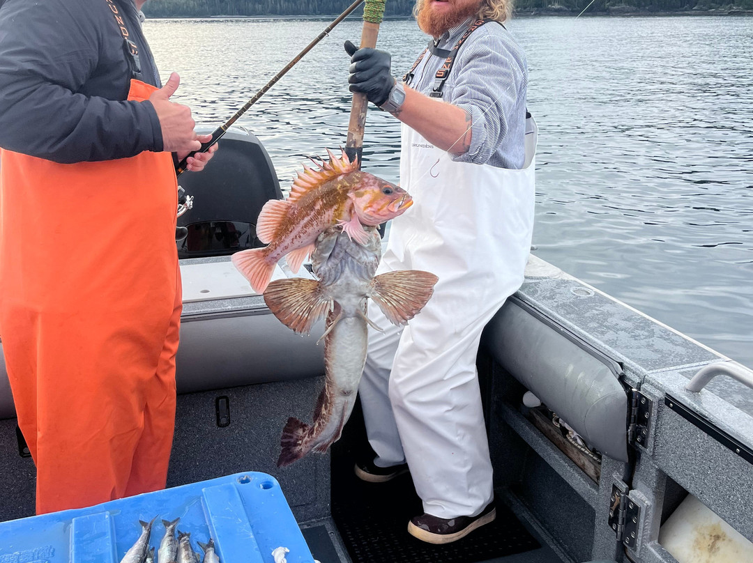 Waterfall Resort Alaska主图