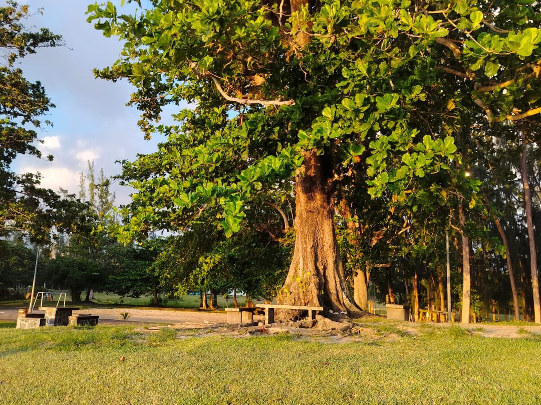St. Felix Public Beach-钱米格兰尼尔必去景点