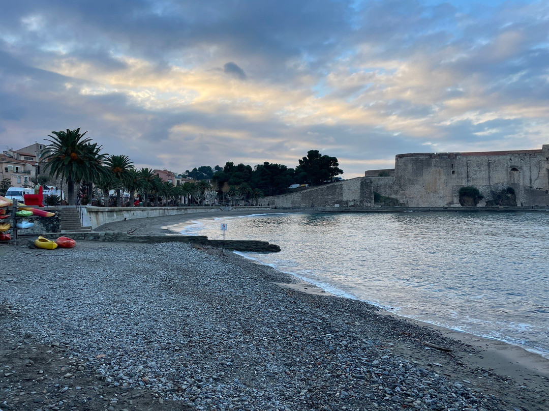 Plage de Collioure景点图片