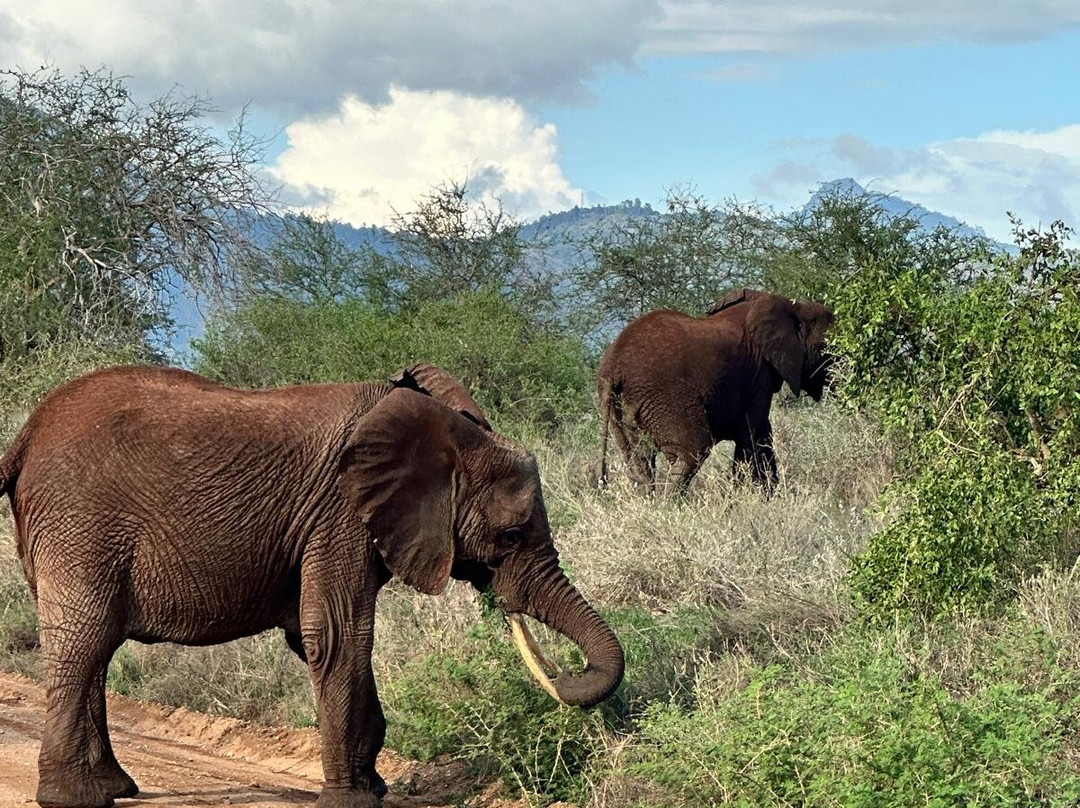 Kenya Trip Safaris-Gede必去景点