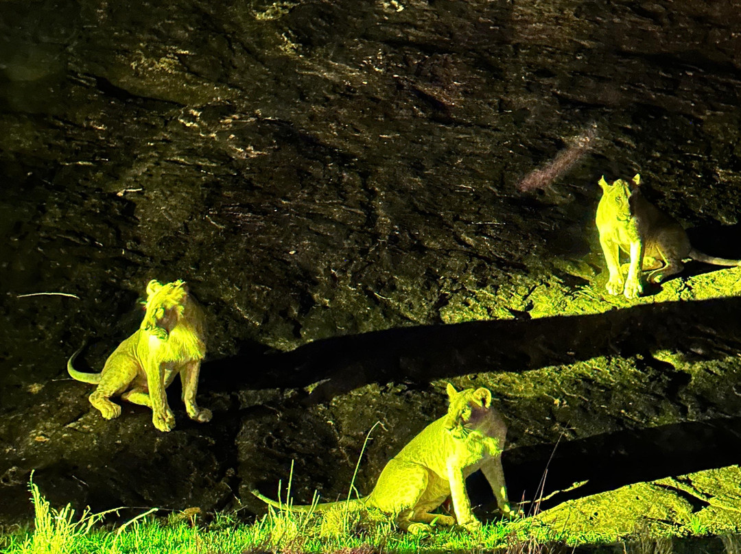 Kenya Trip Safaris-Gede必去景点