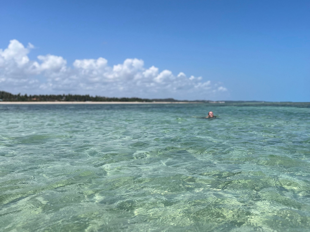 GG TUR-Japaratinga必去景点