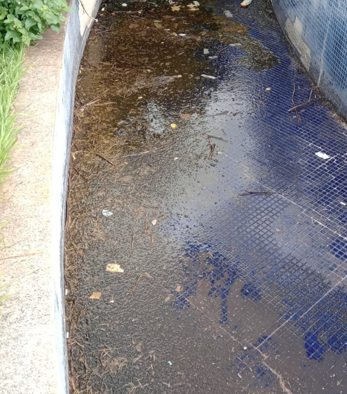 Praça Tomi Nakagawa-Londrina必去景点