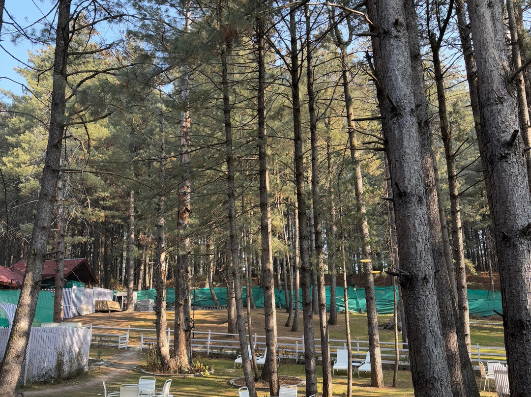 Welcomhotel By Itc Hotels, Pine N Peak主图