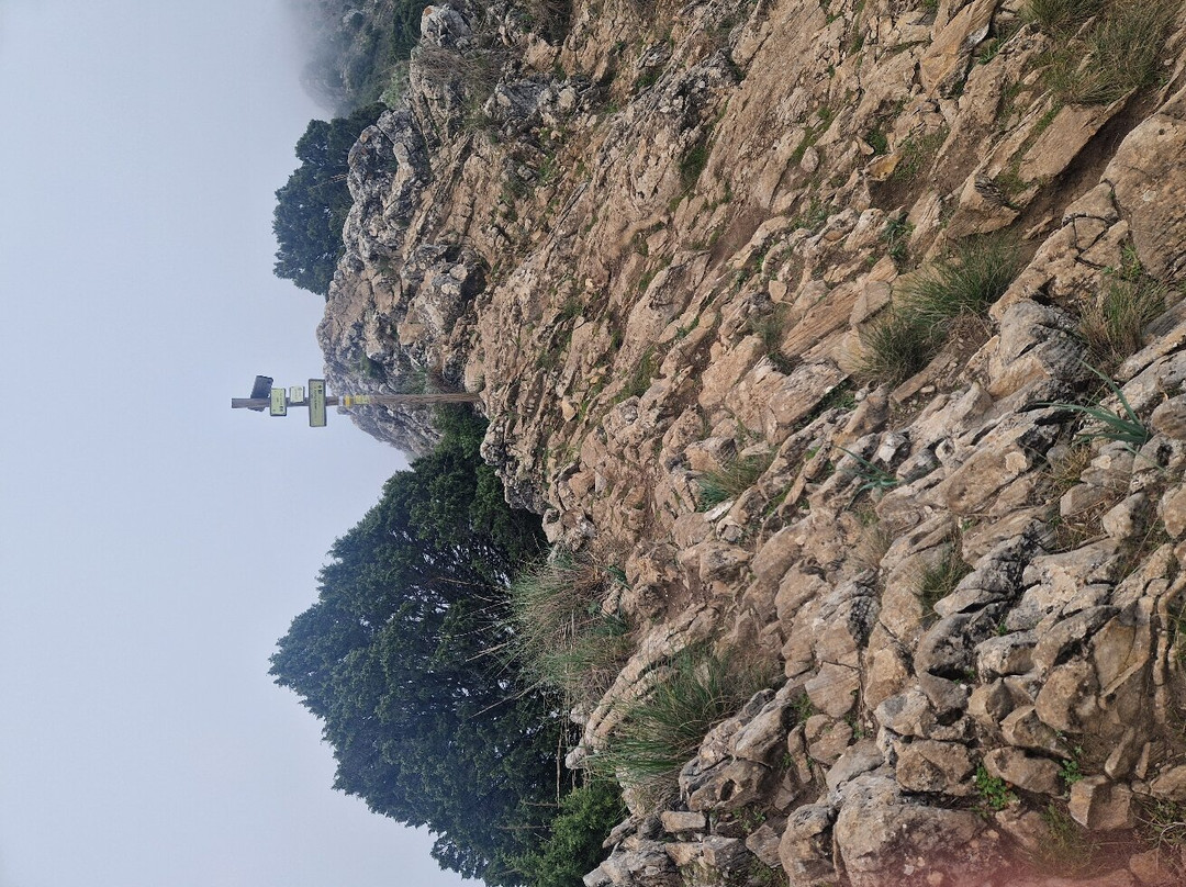 La Concha景点图片