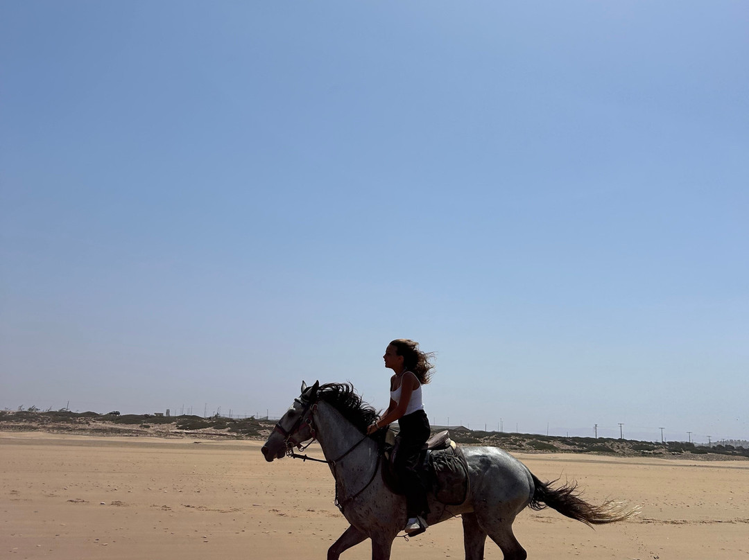 Ranch Berbère À Sidi Kaouki - Essaouira-Sidi Kaouki必去景点