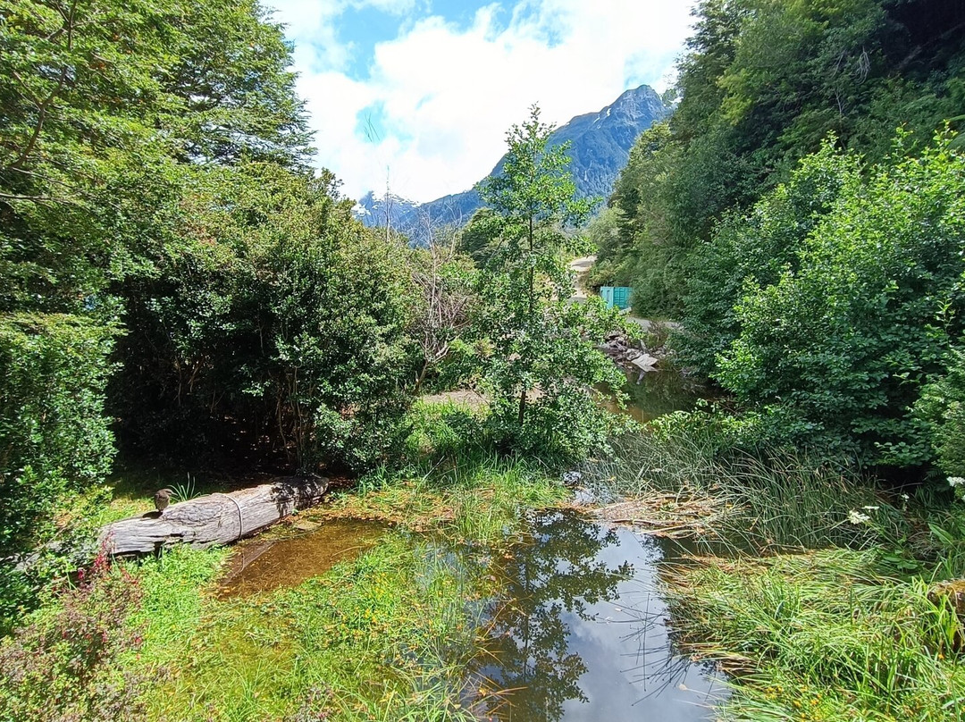 Bahia Acantilada-Puerto Aisen必去景点