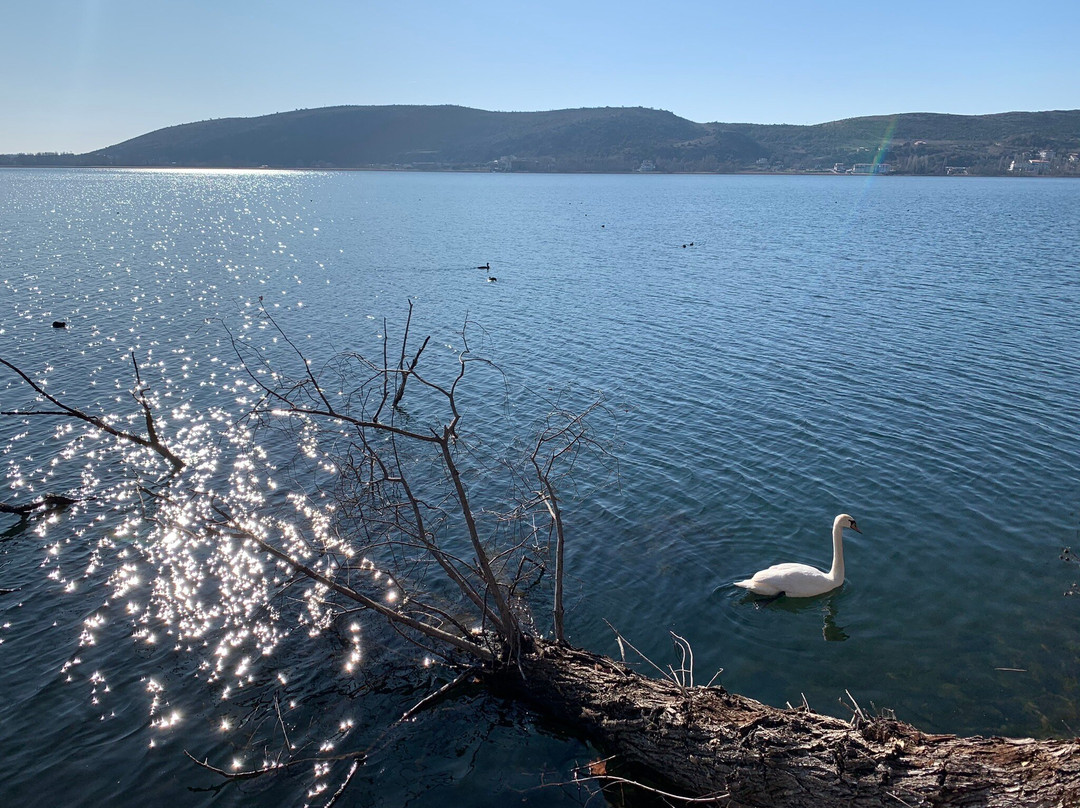 Kastoria Aquarium景点图片