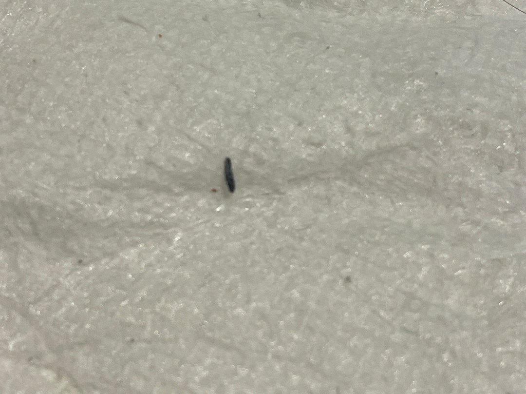 Courtyard by Marriott Lafayette South主图