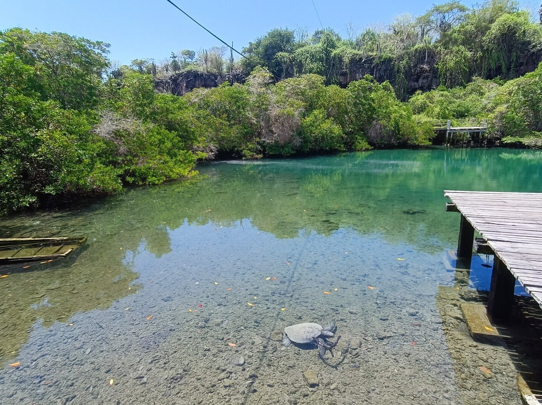Laguna las Ninfas景点图片