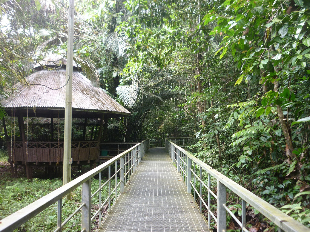 Wind Caves-古晋必去景点