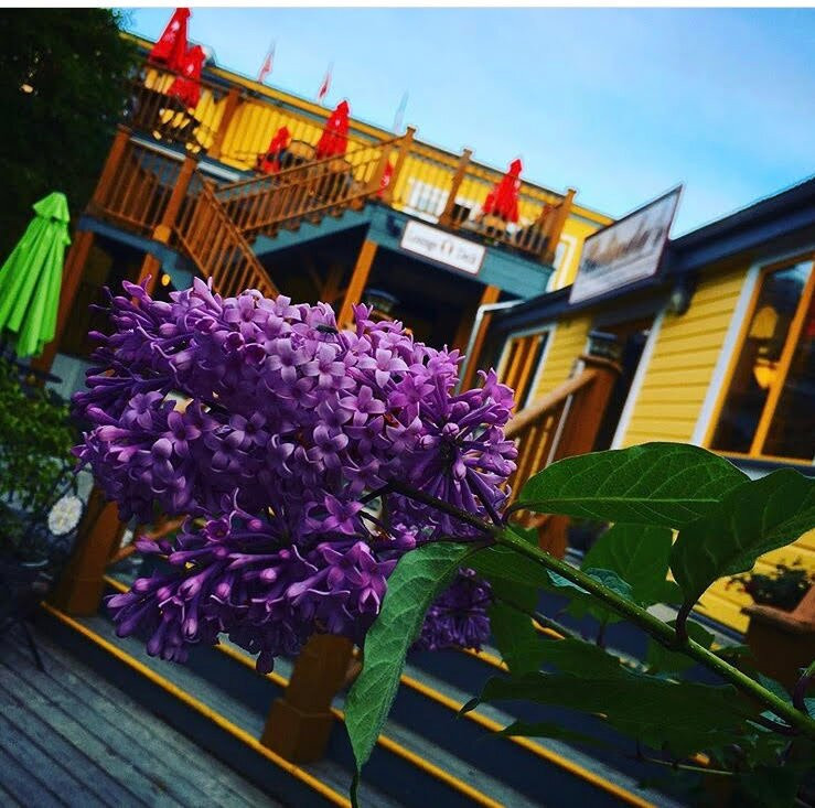 Holland America Dawson City Inn主图