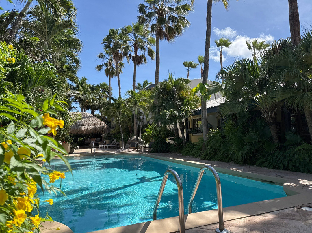 阿鲁巴巴拉特拉公园酒店主图