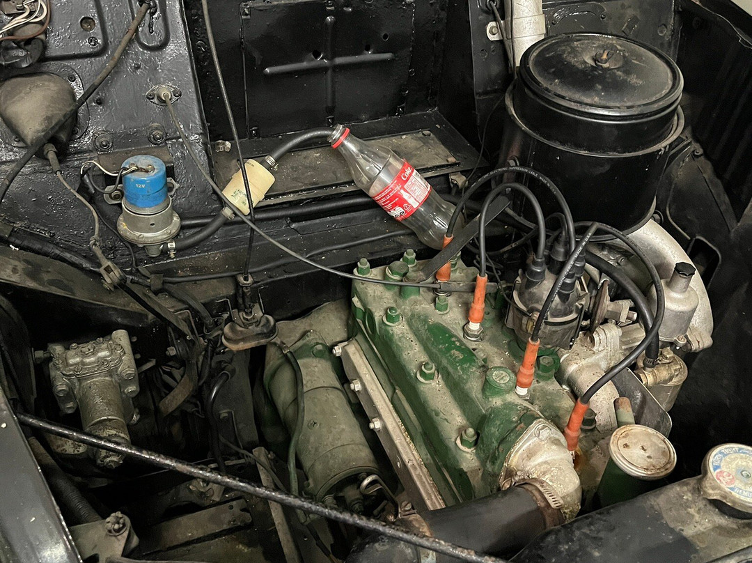 Mallalieu Motor Collection & Car Museum-Hastings必去景点