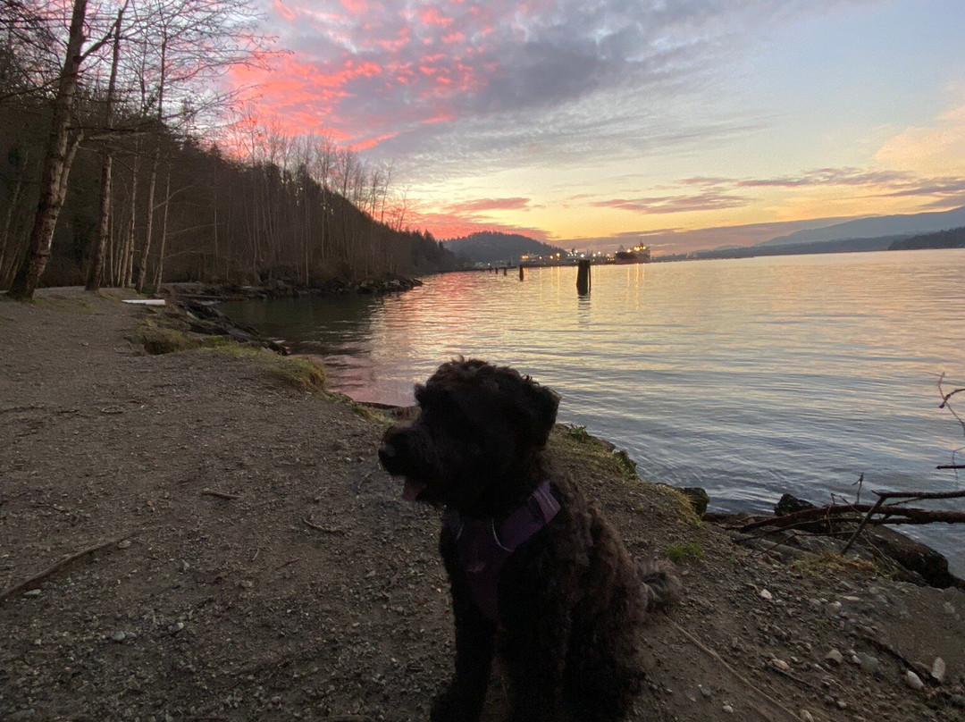 Barnet Marine Park-本那比必去景点