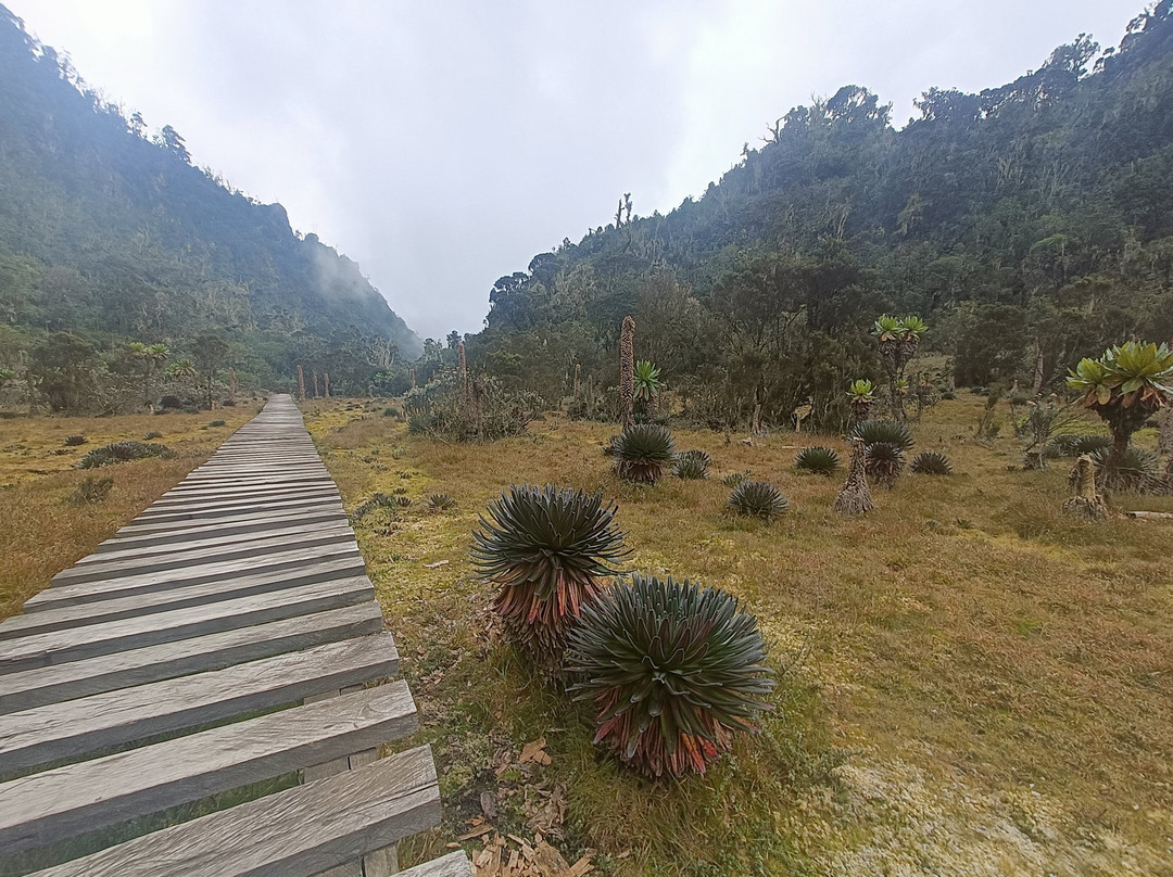 Rwenzori Trekking Services-Kasese必去景点