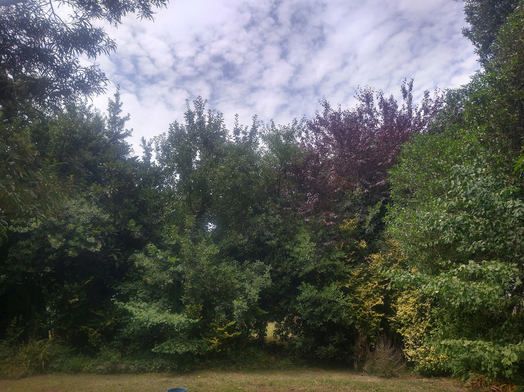 Bosque Peralta Ramos-马德普拉塔必去景点