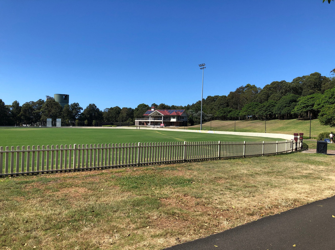 Alan Davidson Oval-Alexandria必去景点