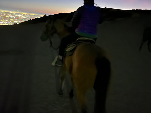 好莱坞日落牧场-洛杉矶必去景点