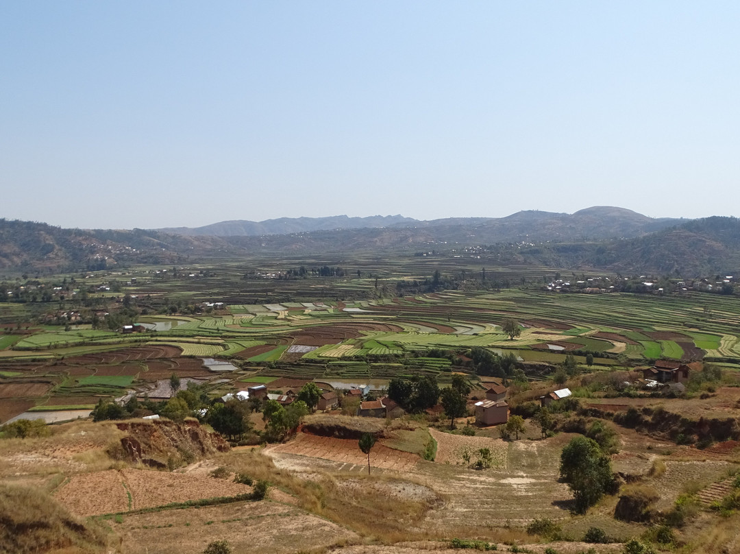 Rizières des Hauts Plateaux景点图片