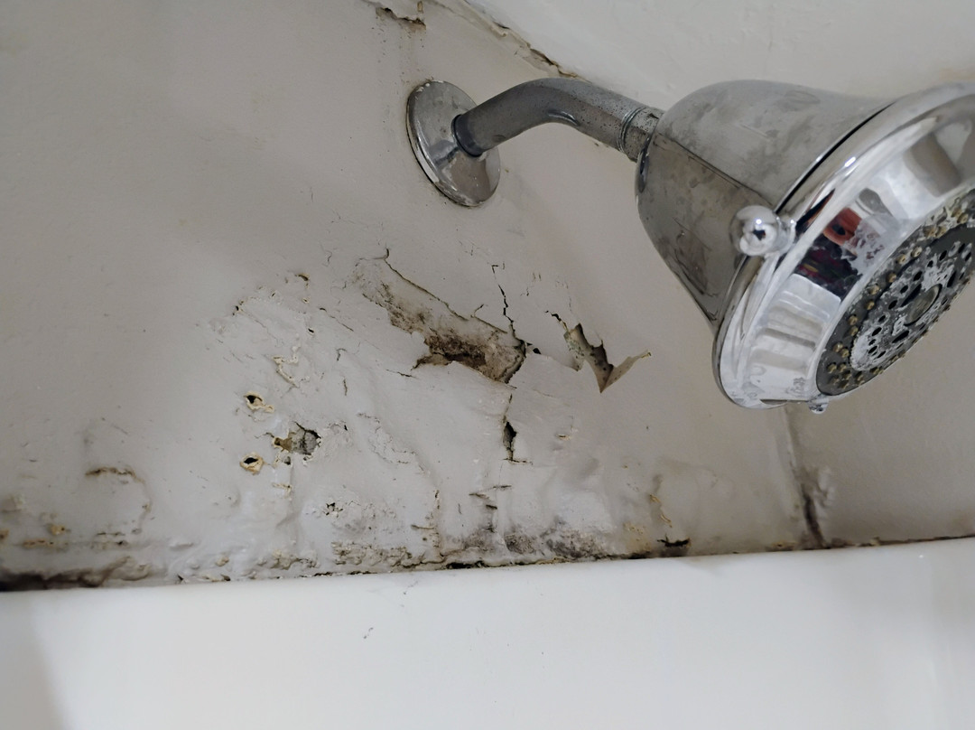 Baymont by Wyndham Osage Beach主图