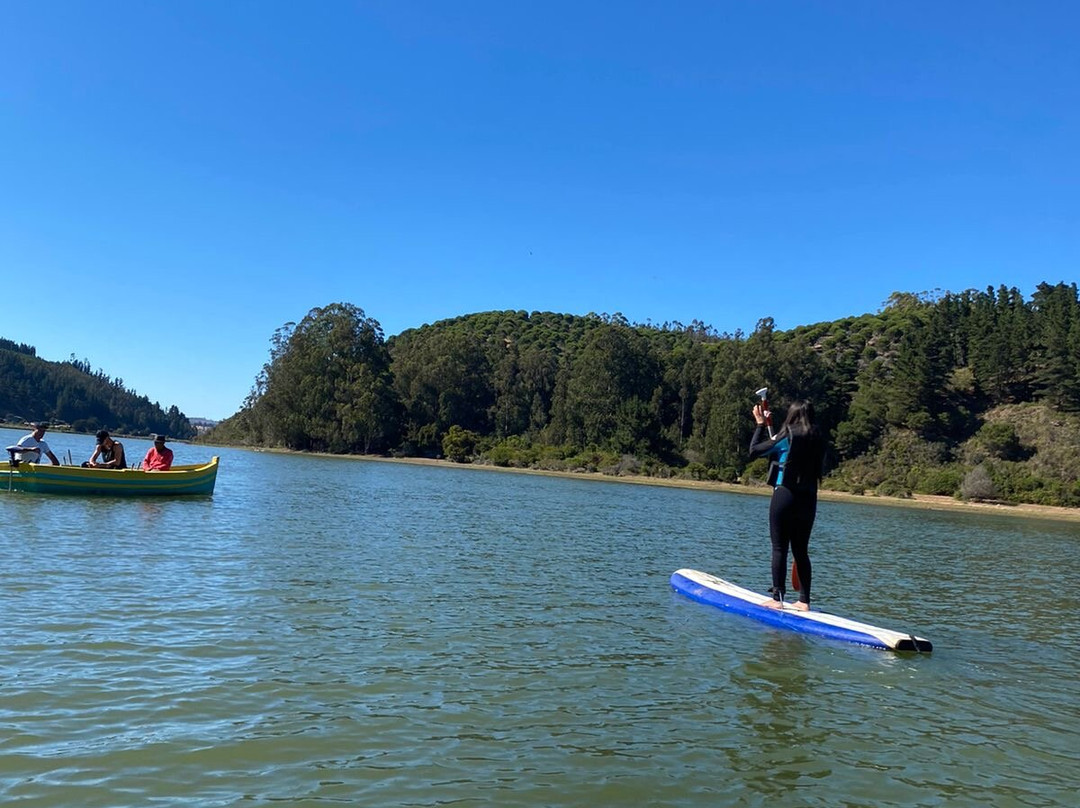 Yagan ecoturismo chile-皮钦勒姆必去景点