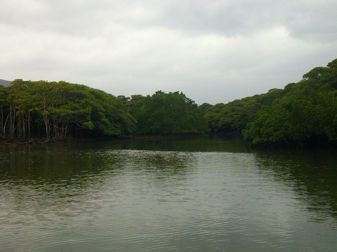 Nakama-river Protected Region景点图片