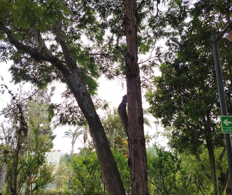 Jardin Botanico Atocha-La Liria景点图片