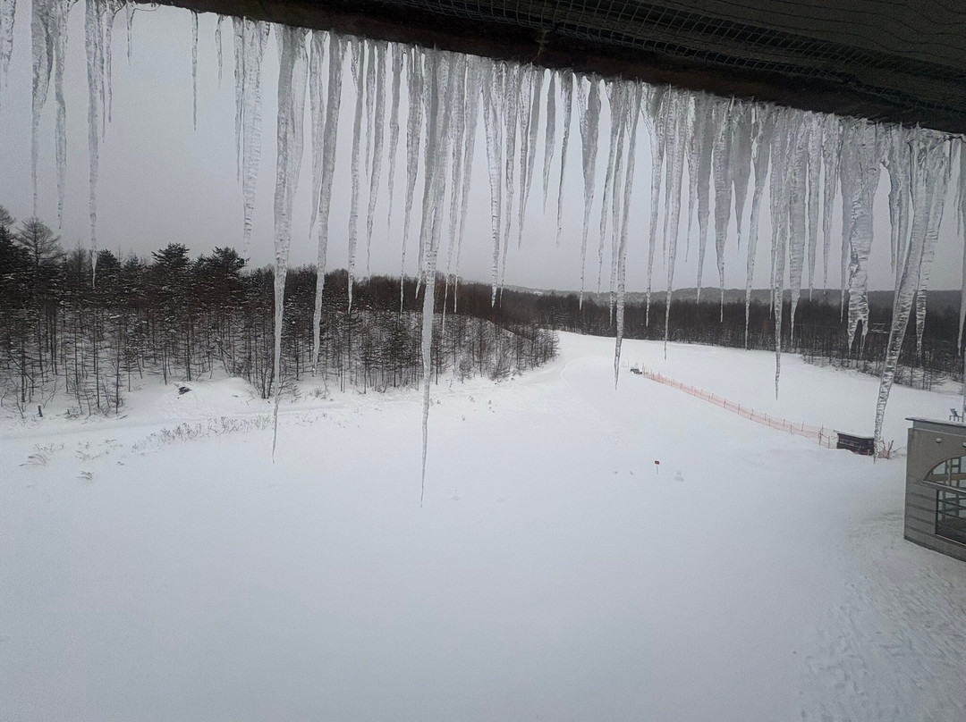 Palcall Tsumagoi Ski Resort景点图片