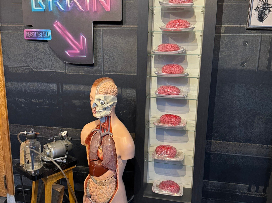 Museum Psychiatrie Venray-芬拉伊必去景点