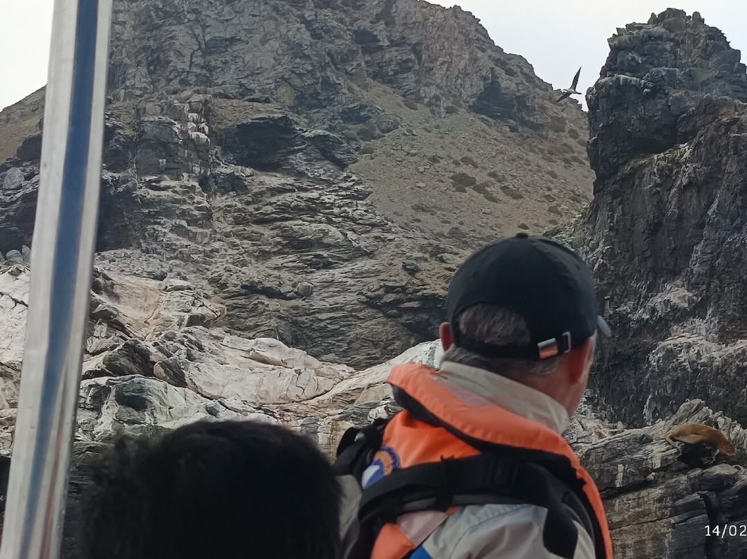 Ecoturismo La Serena-拉塞雷纳必去景点